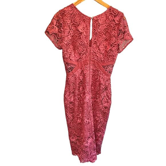 Little Mistress Rose Pink Floral Lace Short Sleeve Midi Dress - size 6 - Picture 4 of 5